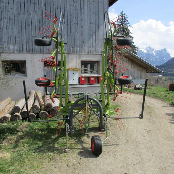 Oberhammer Georg Oberhammer Georg