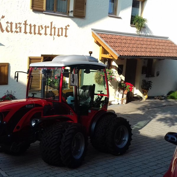Plattner Franz Plattner Franz